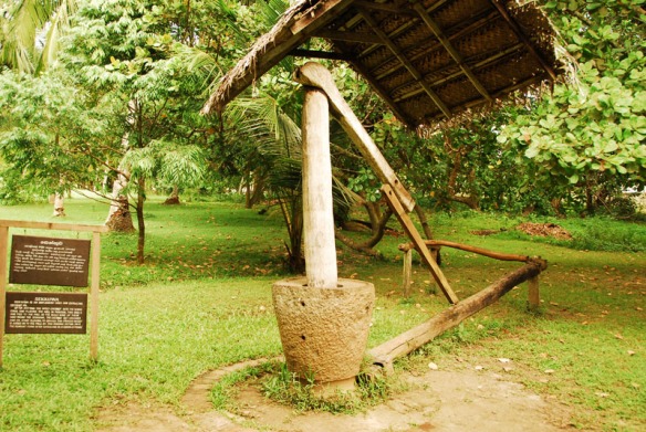 Sekkuwa used for extracting coconut oil at the Martin Wickramasinghe Museuem, Koggala, Sri Lanka. 5 Jan 2008. Photograph©Chulie de Silva.