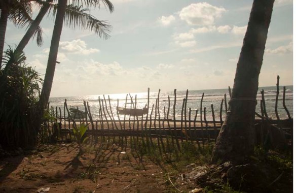 The sea through the cinnamon stick fence that I never tire of photographing. Photo©Chulie de Silva